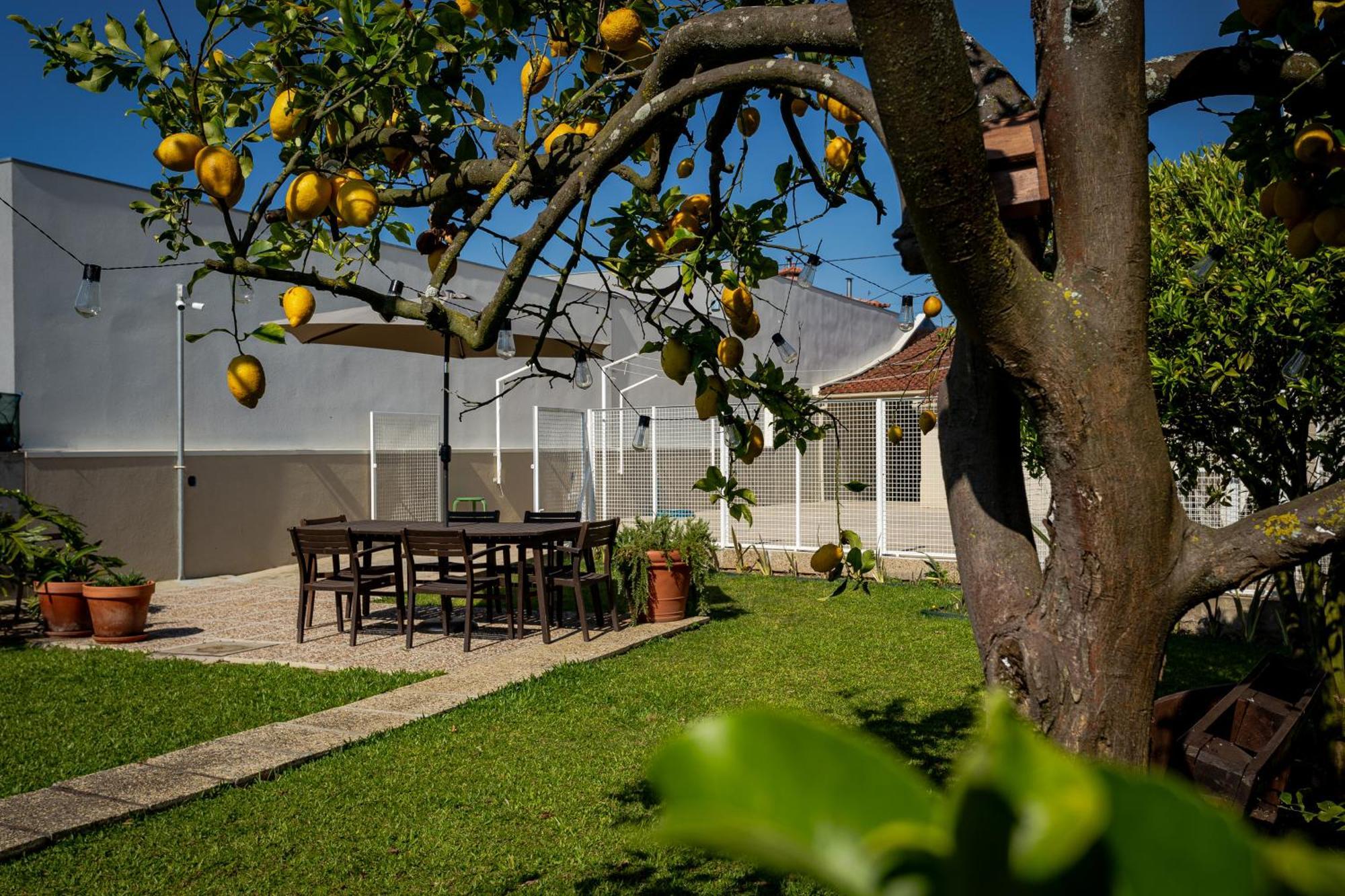 714 Mugnano House Aveleda Vila do Conde Exterior foto